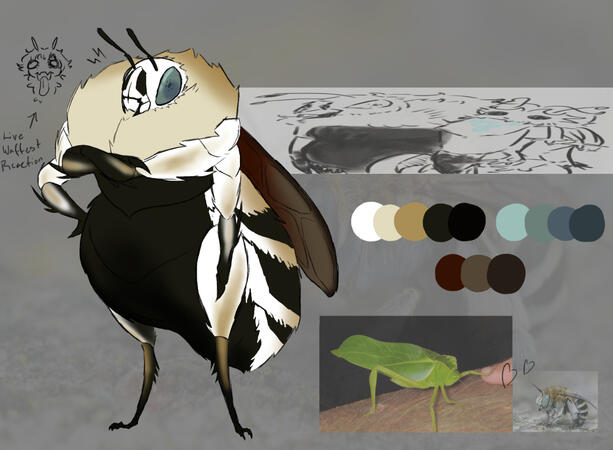 flit ~ hollow knight oc flit ~ hollow knight oc